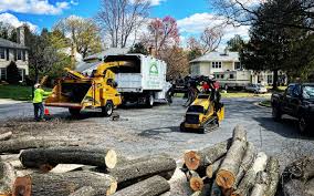 Jennings, LA Tree Removal Company